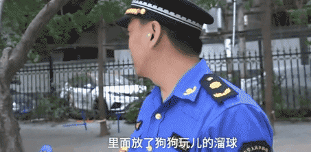 郑州某小区设置遛狗专区：这种操作真的666！-4.gif