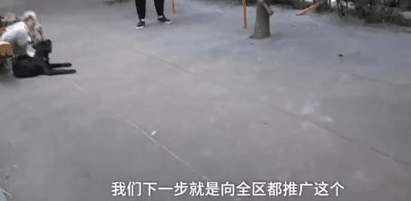 郑州某小区设置遛狗专区：这种操作真的666！-6.gif