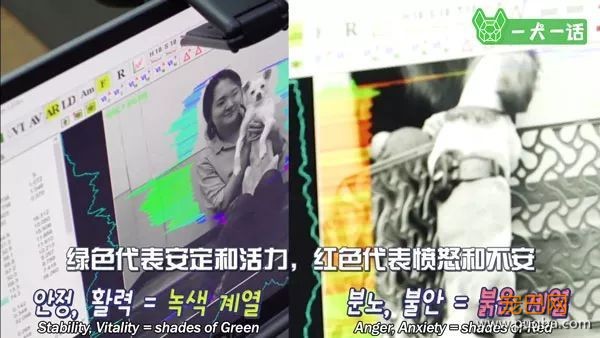 狗狗会欣赏音乐吗？韩国人的调查结果是……-6.jpeg