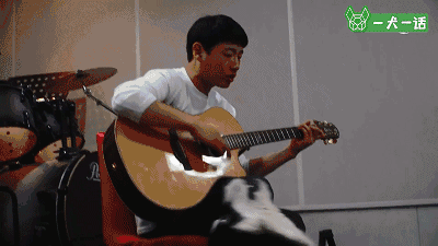 狗狗会欣赏音乐吗？韩国人的调查结果是……-3.gif