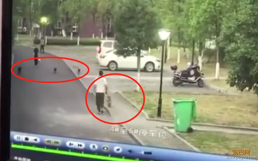 男子护爱犬却被咬伤下体，这种人真的不配养狗！-1.jpeg