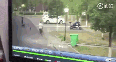 男子护爱犬却被咬伤下体，这种人真的不配养狗！-2.gif