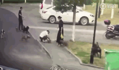 男子护爱犬却被咬伤下体，这种人真的不配养狗！-3.gif