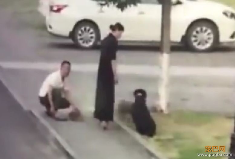 男子护爱犬却被咬伤下体，这种人真的不配养狗！-7.jpeg