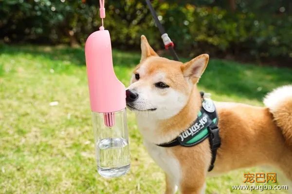 夏季高温谨防中暑！小佩随行杯让喝水随时随地、随心所欲~-16.jpeg