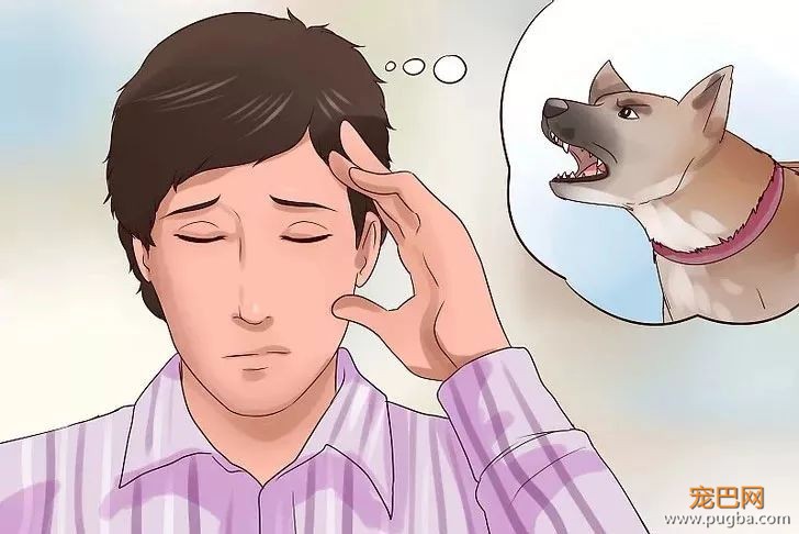 如何帮助不喜欢狗的人，适应狗狗的存在？-1.jpeg