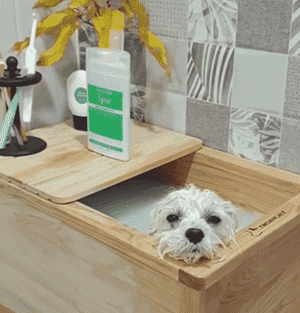 Ins上惊现用泰迪熬汤，而事实是……-8.gif