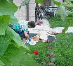 如果对宠物失而复得的方法是克隆，你接受吗？-2.gif