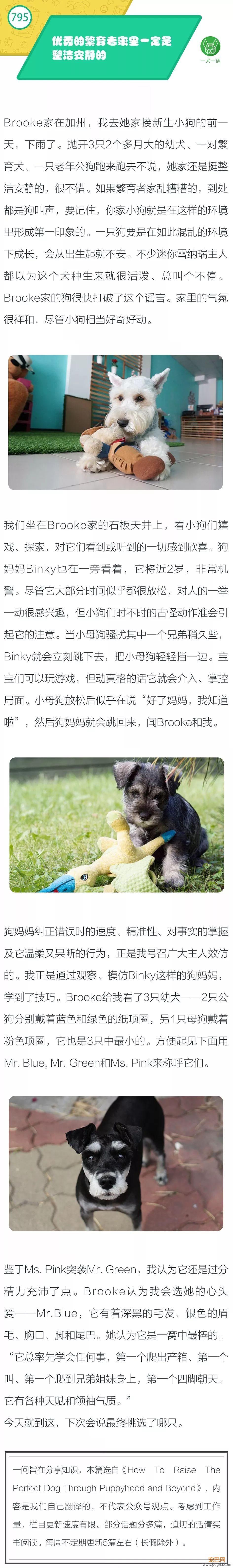 优秀的繁育者家里一定是整洁安静的-1.jpeg