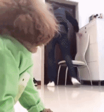 主人不放心狗狗自己在家，看完监控画面哽咽了……-2.gif