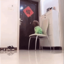 主人不放心狗狗自己在家，看完监控画面哽咽了……-5.gif