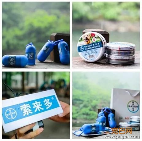 主人不放心狗狗自己在家，看完监控画面哽咽了……-20.jpg
