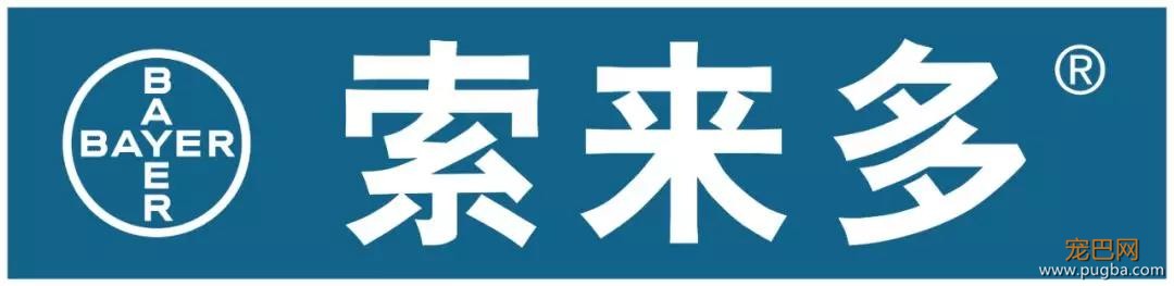 主人不放心狗狗自己在家，看完监控画面哽咽了……-24.jpg