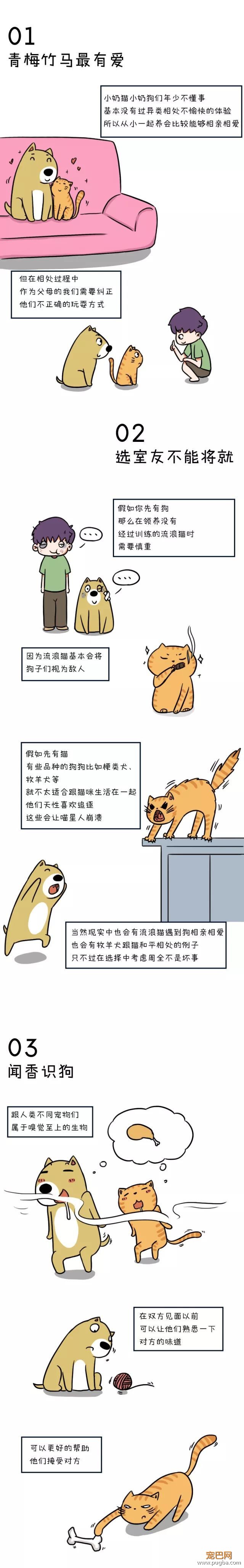 有些人不仅表面有狗，背地里还有一只猫-1.jpeg