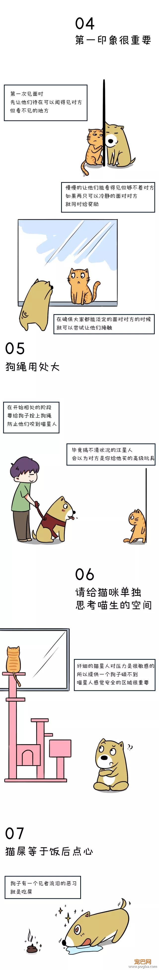 有些人不仅表面有狗，背地里还有一只猫-2.jpeg