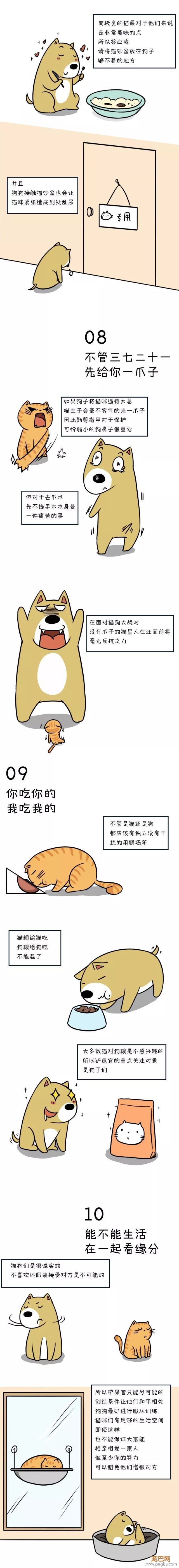 有些人不仅表面有狗，背地里还有一只猫-3.jpeg