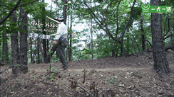 21个鸟宝宝陪他登山，这可能是父亲节最酷的爸爸了-1.gif