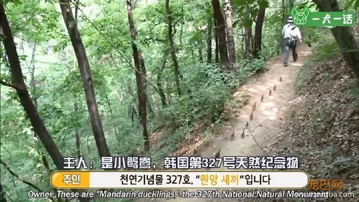 21个鸟宝宝陪他登山，这可能是父亲节最酷的爸爸了-2.jpeg