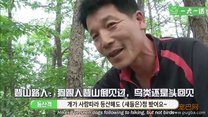 21个鸟宝宝陪他登山，这可能是父亲节最酷的爸爸了-8.jpeg