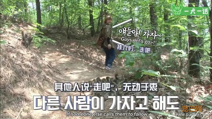 21个鸟宝宝陪他登山，这可能是父亲节最酷的爸爸了-6.jpeg