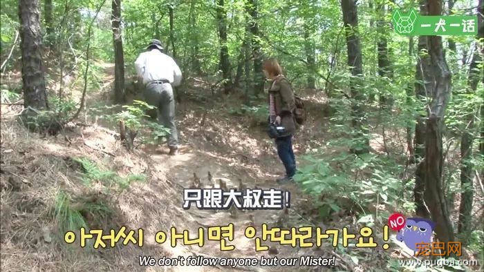 21个鸟宝宝陪他登山，这可能是父亲节最酷的爸爸了-7.jpeg