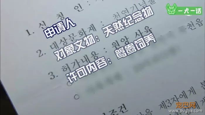 21个鸟宝宝陪他登山，这可能是父亲节最酷的爸爸了-11.jpeg