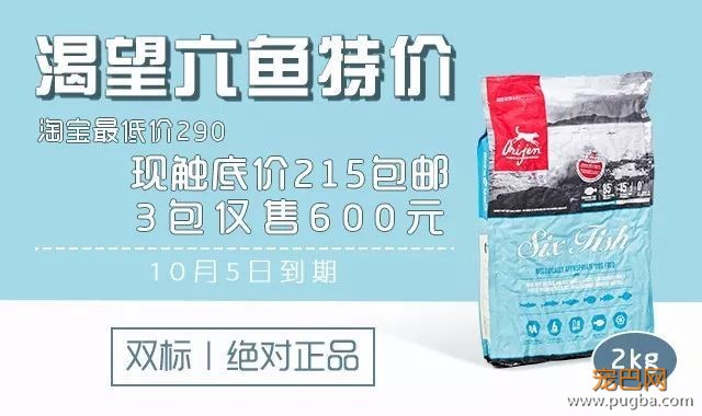 21个鸟宝宝陪他登山，这可能是父亲节最酷的爸爸了-15.jpeg
