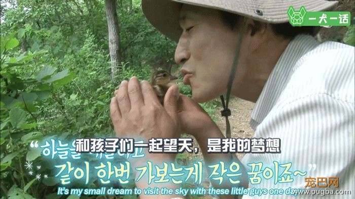 21个鸟宝宝陪他登山，这可能是父亲节最酷的爸爸了-14.jpeg