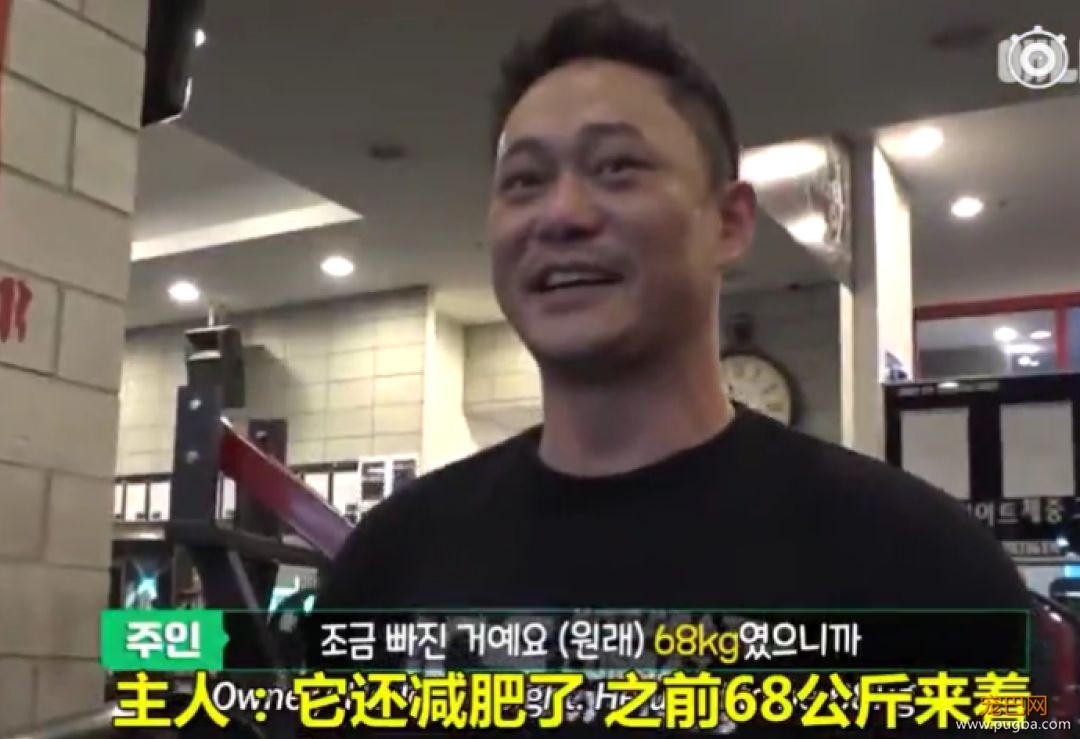 125斤的超重阿拉，宁可当单身狗也不想减肥，铲屎官无奈为它请了个私教...-19.jpeg
