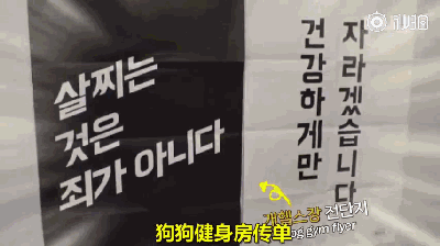 125斤的超重阿拉，宁可当单身狗也不想减肥，铲屎官无奈为它请了个私教...-24.gif