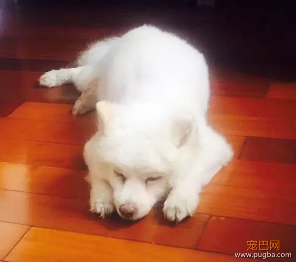 6月生日说 | 谢谢你参与我的人生，你的每个样子我都记得-5.jpeg