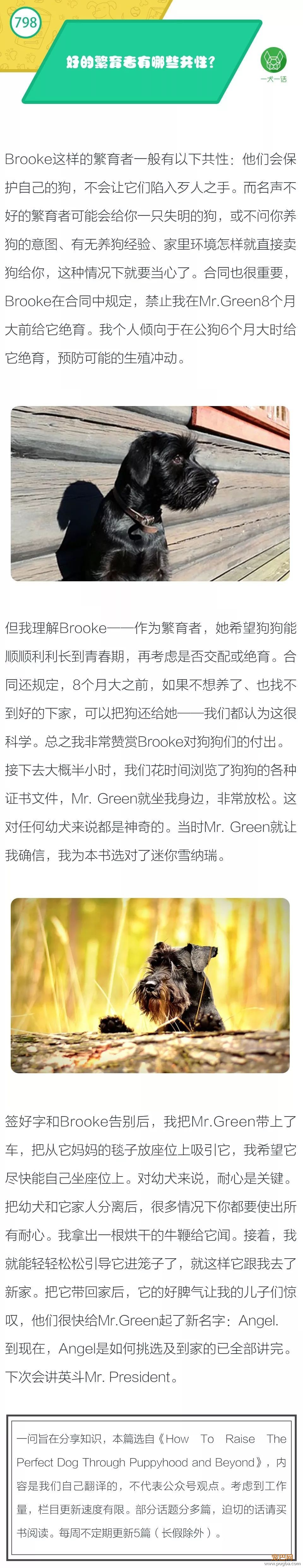 好的繁育者有哪些共性？-1.jpeg