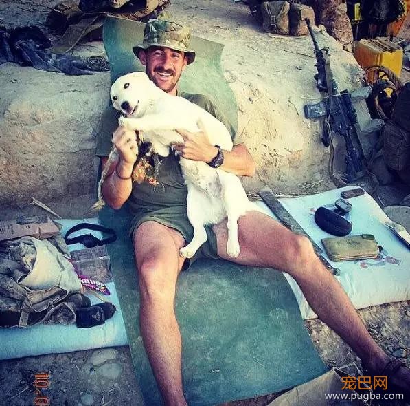 士兵从战场上救了1只流浪狗，后来才发现，救的原来是自己-4.jpg