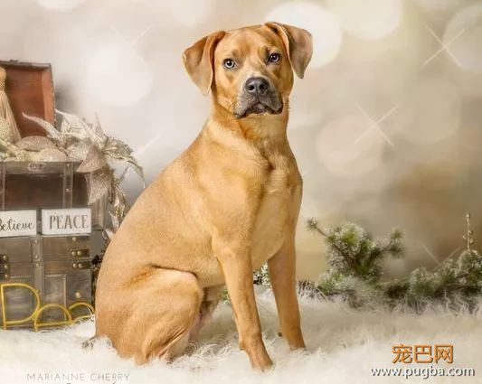 一瓶解决万千皮肤问题的超级油，WDJ力荐！-18.jpeg