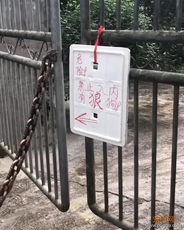 门上写着有狼狗禁止入内，粗铁链让人担忧，看到狗让人不敢相信-1.jpeg