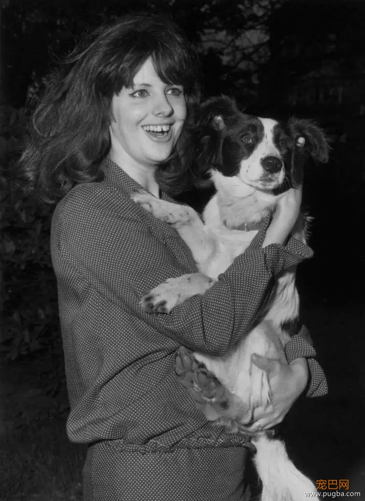 52年前，有只牧羊犬拯救了世界杯-9.jpeg