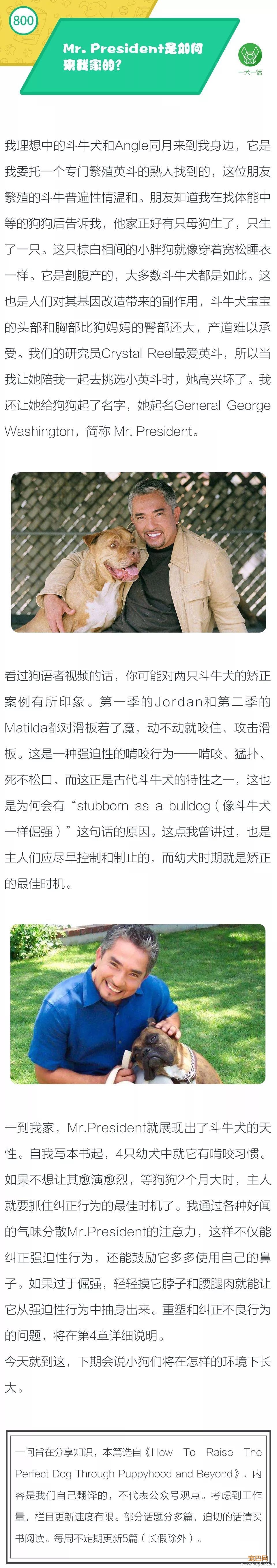 Mr. President 是如何来我家的？-1.jpeg