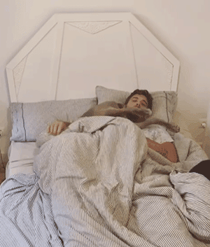 铲屎官睡觉总觉得闷，一看录像肺都气炸了-2.gif
