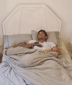铲屎官睡觉总觉得闷，一看录像肺都气炸了-1.gif