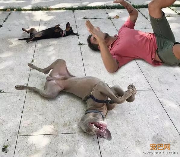 铲屎官睡觉总觉得闷，一看录像肺都气炸了-13.jpg
