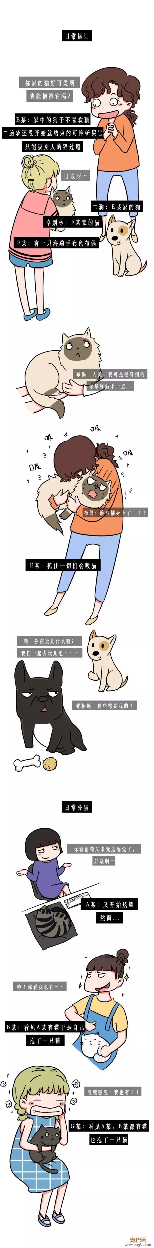 真羡慕你们上班可以吸猫撸狗-2.jpeg