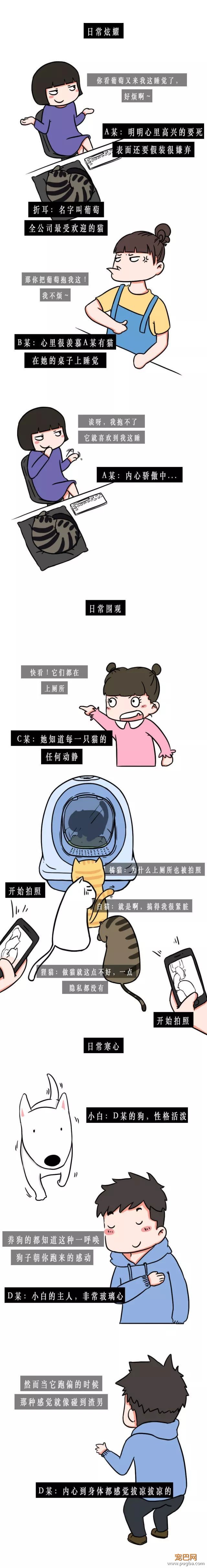 真羡慕你们上班可以吸猫撸狗-1.jpeg