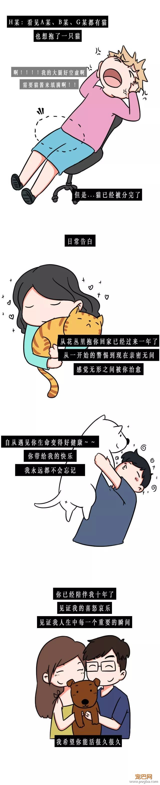 真羡慕你们上班可以吸猫撸狗-3.jpeg