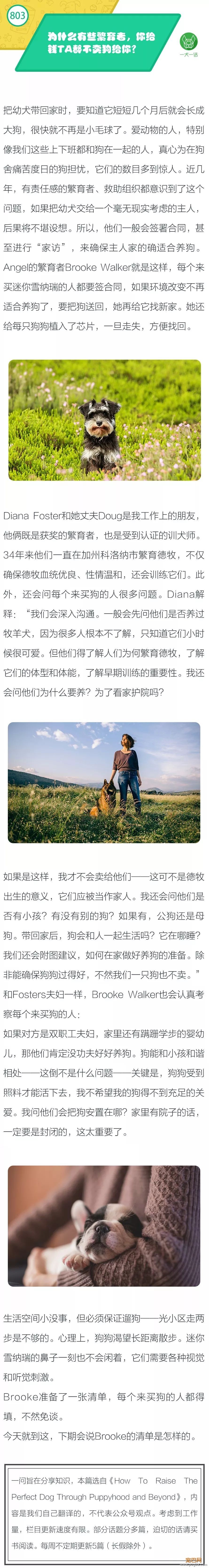 为什么有些繁育者，你给钱TA都不卖狗给你？-1.jpeg