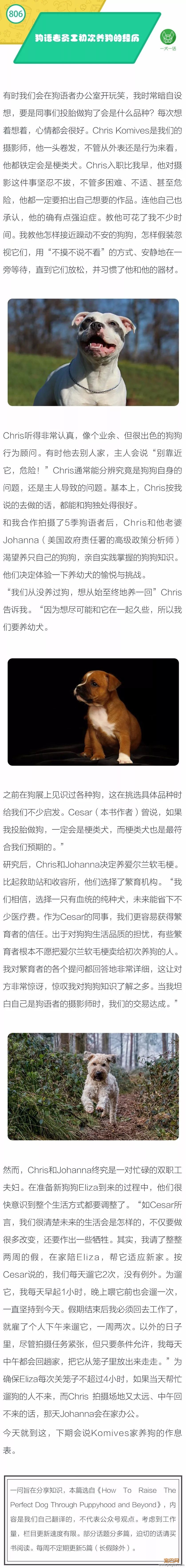 狗语者员工初次养狗的经历-1.jpeg
