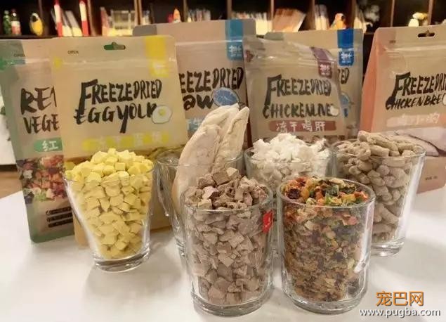 狗狗西餐鸡尾酒，主人打牌打台球，这是什么神仙餐厅！-19.jpg