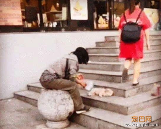 我们都是流浪者，共同拥有一个“家”-2.jpeg