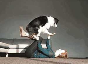 妹子把狗当男票养，网友看了都超羡慕！-6.gif