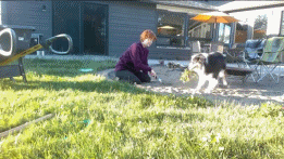 妹子把狗当男票养，网友看了都超羡慕！-13.gif