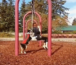 妹子把狗当男票养，网友看了都超羡慕！-15.gif